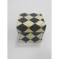 10x10x10 FULL DAMA KUTU