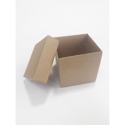 10x10x10 FULL KRAFT KUTU