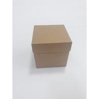 10x10x10 FULL KRAFT KUTU