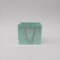 18x15x7 Mint Yeşili Gümüş Yaldızlı Karton Çanta