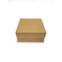 20x20x10 Full Kraft Kutu
