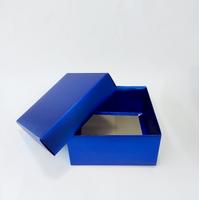 20x20x10 Full Lacivert Kutu